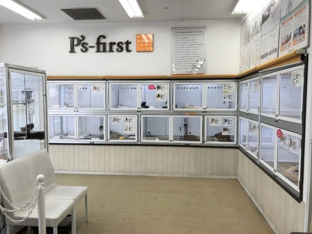 市川コルトンプラザ店【ホテル】